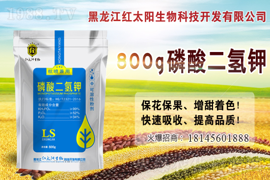     2021年小麥價(jià)格多少錢一斤？2月小麥價(jià)格會(huì)漲嗎？