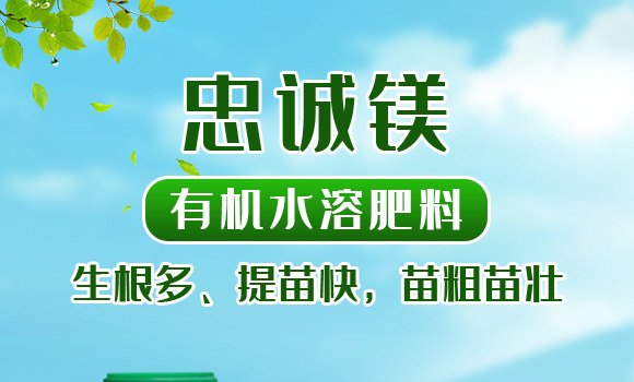 有機水溶肥料-忠誠鎂-先益農(nóng)_01