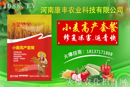 小麥高產(chǎn)套餐能解決小麥哪些問題？小麥高產(chǎn)套餐使用方法!