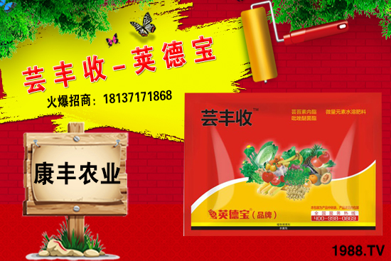 小麥高產(chǎn)套餐能解決小麥哪些問題？小麥高產(chǎn)套餐使用方法!