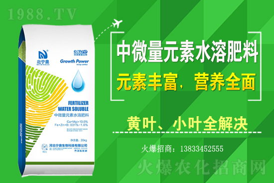 �S����ԓ��ô�Nֲ���S���˷Nֲ�^����ע����Щ���}��