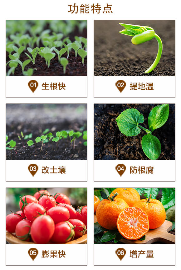 �������̼-�f(w��n)������_03