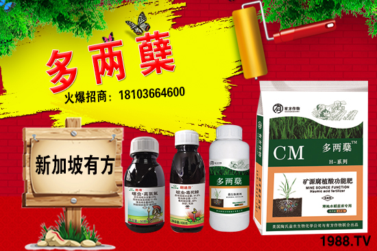 2021葡萄柚種植前景如何？葡萄柚和普通柚子有何區(qū)別？