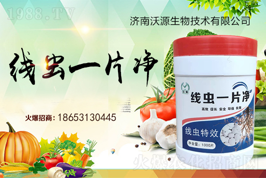 ���Y(ji��)���x�y���������ξ��x�����xһƬ����