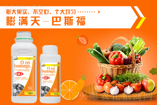 һ�@���镺��(w��n)��10��13�Շ���(n��i)���@�r(ji��)������