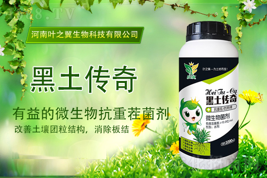  2021��10��19�����؃r������