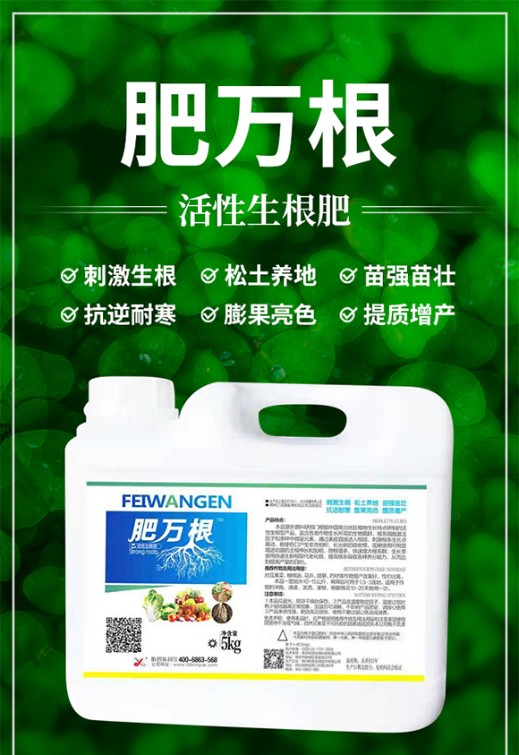 꿾����F1_01