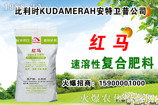 ��(f��)�Ϸʳ��S��(b��o)�r(ji��)��11��12�Տ�(f��)�Ϸʃr(ji��)������