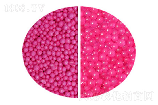 ���ض����Xһ�����������؃r������11��3��