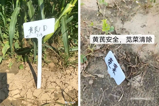 �α�2̖(h��o)¡��������������죬�ɳ��{�˵��S�γ��݄������ݸ��V����ȫ����