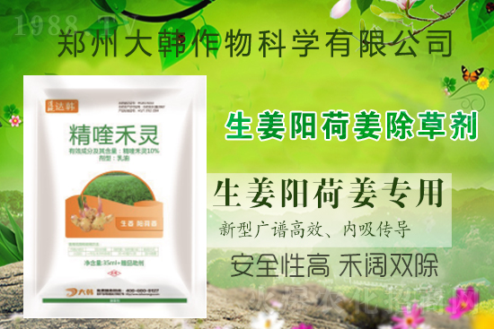 ��ꖺɽ���ô���������ش�ʲô���݄�����ꖺɽ����ݷ�����ע�����(xi��ng)