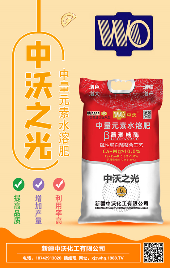 ���ֻ����m(x��)�s1988.TV���y���r(n��ng)���W(w��ng)�ل�(chu��ng)���x����