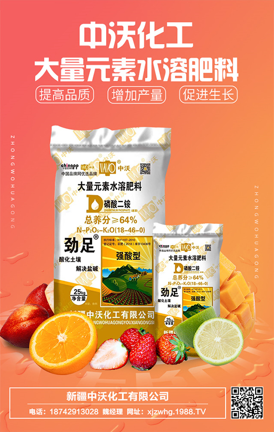 ���ֻ����m(x��)�s1988.TV���y���r(n��ng)���W(w��ng)�ل�(chu��ng)���x����