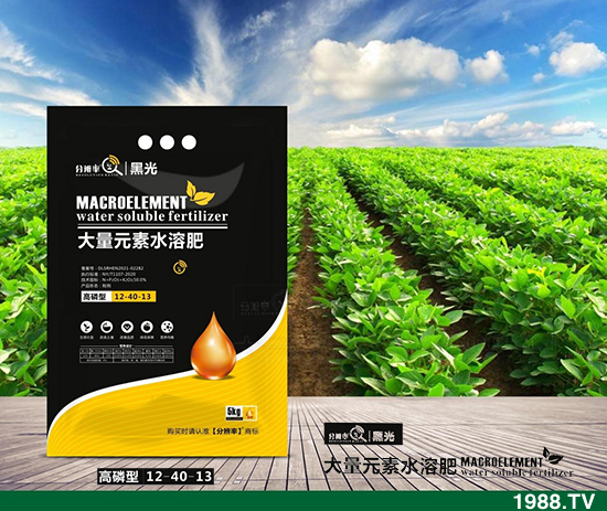 暫穩(wěn)運行,2021.12.31今日磷酸二銨價格