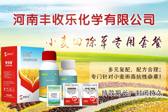 С�������ӳ��ݸ���ԓ��ô�x�ó��݄���