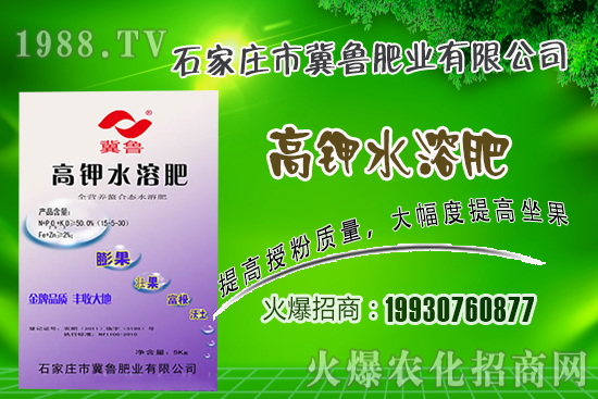 2021年2月4日局部花生價(jià)格報(bào)道