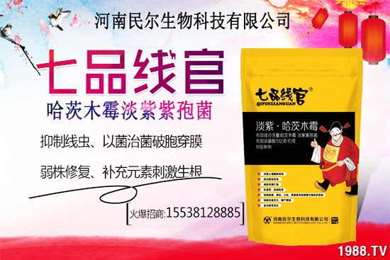 ѩ����r(ji��)������X(qi��n)һ����ѩ�ҷNֲǰ��������