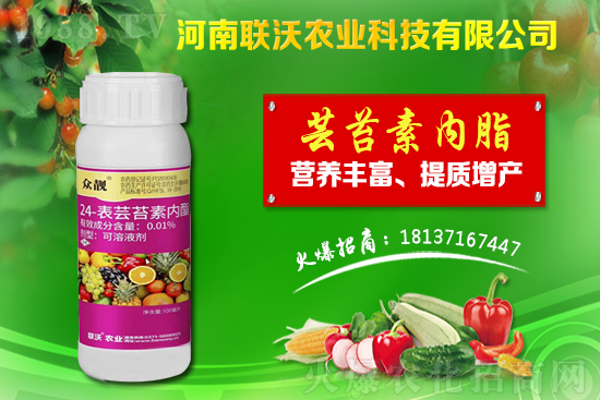 �ٲ��m��ʲô�ط��Nֲ���ٲ��Nֲǰ�����Nֲ���g(sh��)��