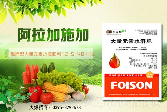 2��6��ȫ��С����r��С���r��ͻ��1.57Ԫ/��