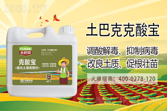 ���մ󶹃r(ji��)���Ј������(b��o)�r(ji��)2021��3��10��