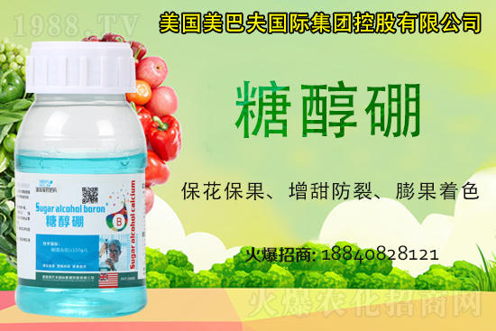 ���յ��ȶ����Xһ����2021�굾�ȃr���Ƿ�߀���q��