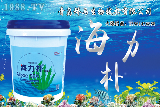 ѩ����r������Xһ����2021��Nֲѩ����ٍ�X�᣿