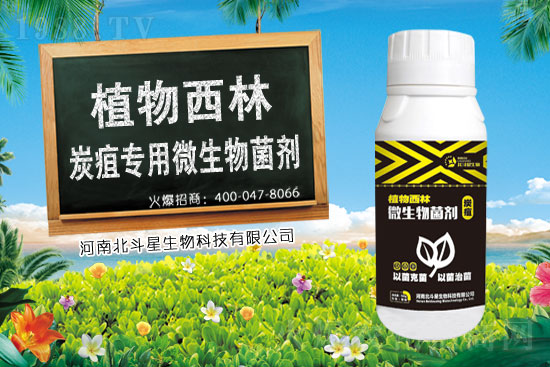 2021��3��20�ո����\�������r(ji��)������