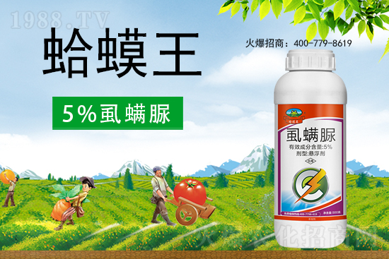 ʭ����������ô�������x���c��ʲô��