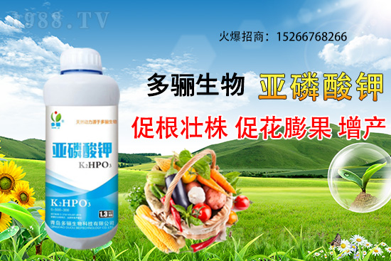 3月份適合種植什么藥材？哪些藥材種植前景好又賺錢