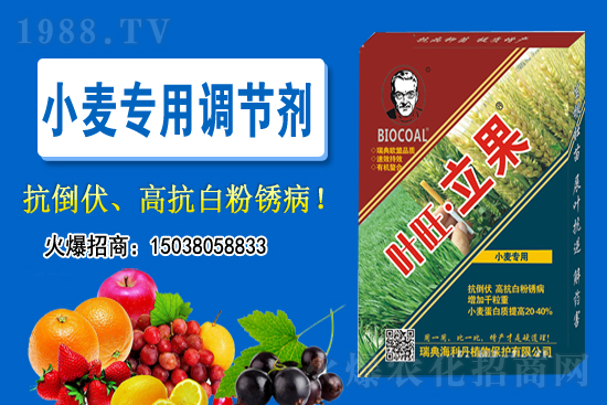 С���P����