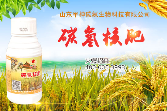 ̼��˷���ʲô������ʲôЧ���@ô�ã�