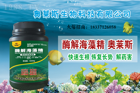 �󶹃r��߀���ϝq�������մ󶹃r������