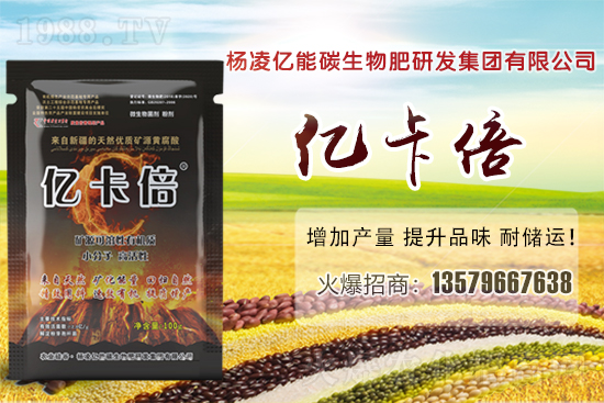 ���}�ۮa(ch��n)�����҇�(gu��)��Щʡ�������}������Щ��ҊƷ�N��