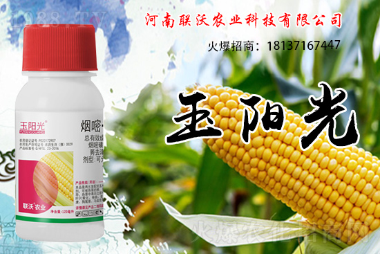 ���׳��ݞ�ʲô�x����������������݄���δ�