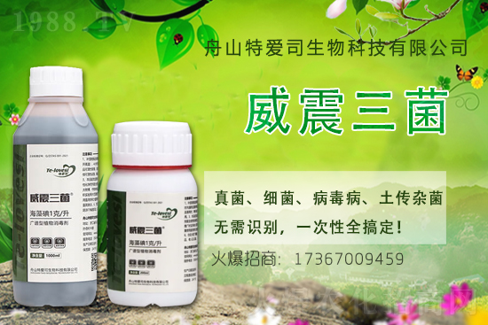 2021��4��29�՚�����ԭˎ�r(ji��)��