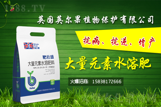 �����ѹ�