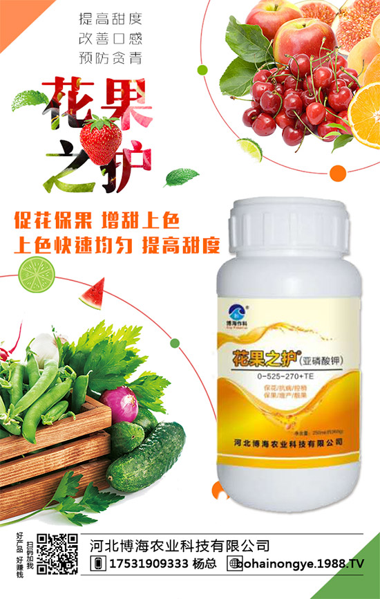 �����r(n��ng)���ٴ����v���r(n��ng)�����̾W(w��ng)�����F(xi��n)��I(y��)�°l(f��)չ��