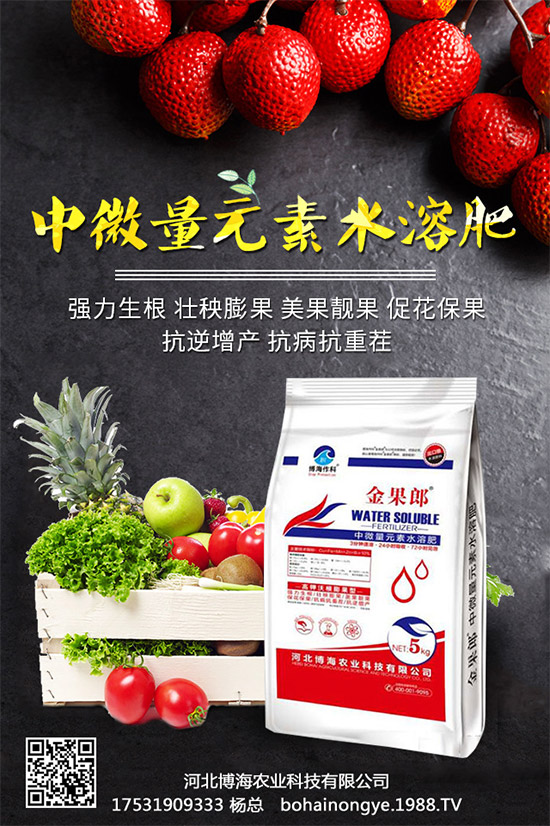 �����r(n��ng)���ٴ����v���r(n��ng)�����̾W(w��ng)�����F(xi��n)��I(y��)�°l(f��)չ��