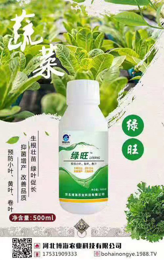 �����r(n��ng)���ٴ����v���r(n��ng)�����̾W(w��ng)�����F(xi��n)��I(y��)�°l(f��)չ��