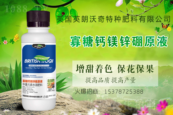 英朗沃奇成功簽約1988.TV，攜手共創(chuàng)新戰(zhàn)績(jī)！