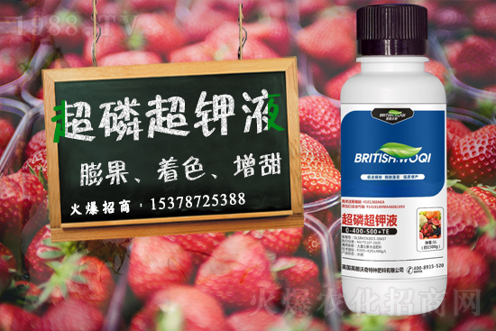 英朗沃奇成功簽約1988.TV，攜手共創(chuàng)新戰(zhàn)績(jī)！