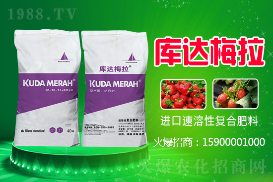 �t���ǏͺϷʶ����Xһ����2021.6.16���ʃr�������r