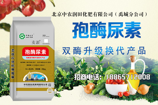 2021��6��17�Շ�(gu��)��(n��i)�������؃r(ji��)��������?q��ng)?b��o)