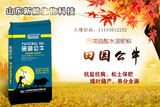 ⛷ʸ�λ�\(y��n)�У�2021��6��18�Շ�(gu��)��(n��i)⛷ʃr(ji��)������