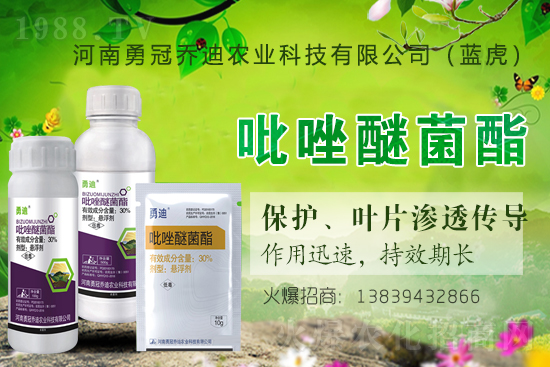 �����������¹چ̵ϣ��{(l��n)�����ٺ�1988.TV������(chu��ng)���x����