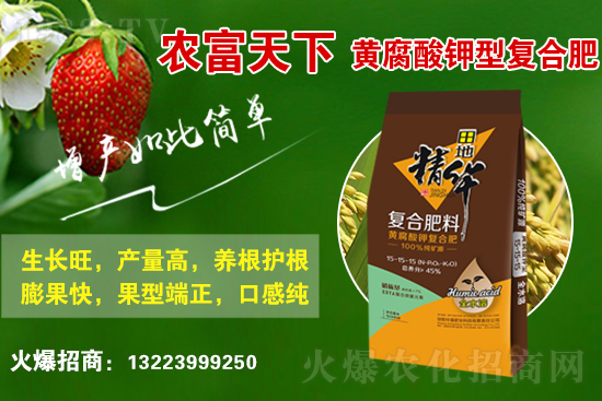 復(fù)合肥市場(chǎng)行情分析,2021年6月25日化肥市場(chǎng)價(jià)格行情