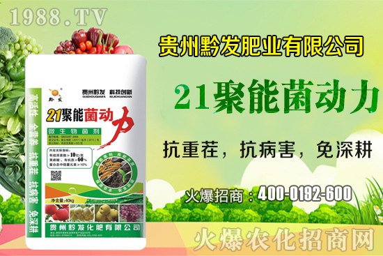 ǭ�l(f��)�ʘI(y��)�ٶȔy��1988.TV���y�ִ����������E��