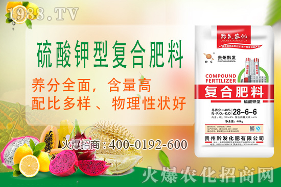 ǭ�l(f��)�ʘI(y��)�ٶȔy��1988.TV���y�ִ����������E��