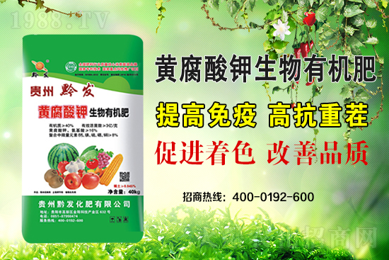 ǭ�l(f��)�ʘI(y��)�ٶȔy��1988.TV���y�ִ����������E��