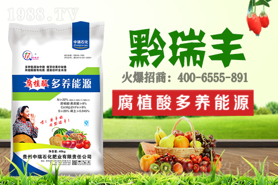     ����ʯ���ʘI(y��)�𱬁��u���ٺ����r(n��ng)�����̾W(w��ng)���_��(chu��ng)���x����